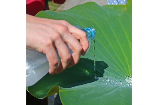 Image Image